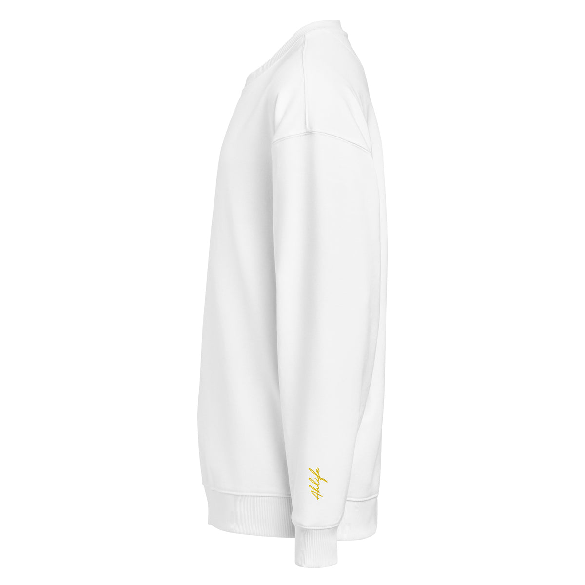 Unisex Organic Oversized Sweatshirt | A • Edition