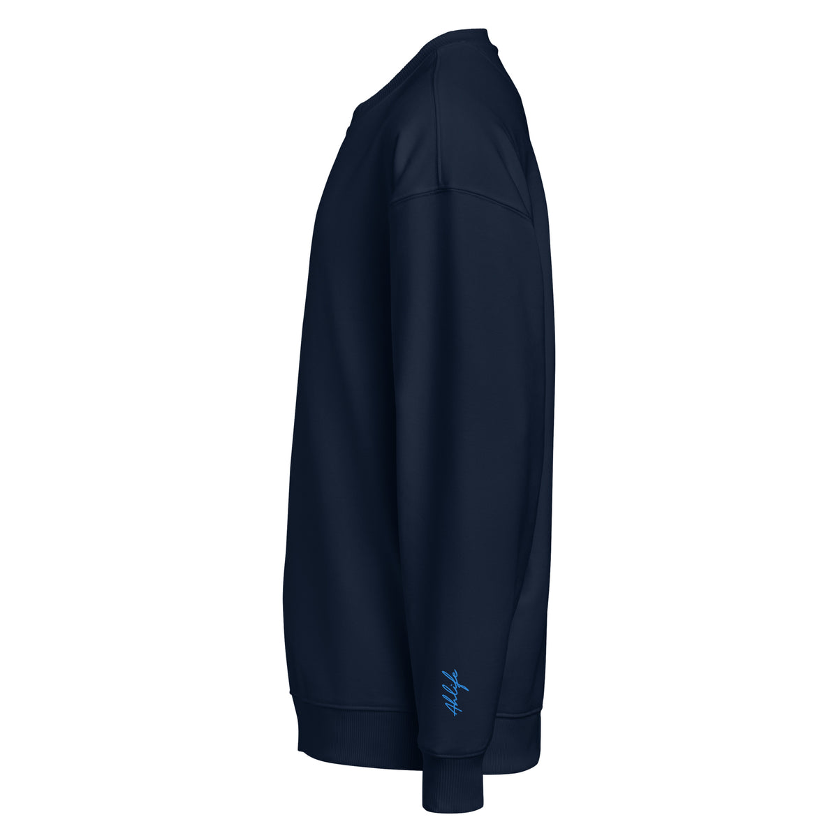 Unisex Organic Oversized Sweatshirt | A • Edition