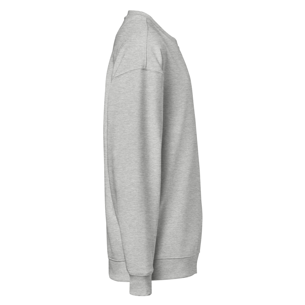 Unisex Organic Oversized Sweatshirt | A • Edition