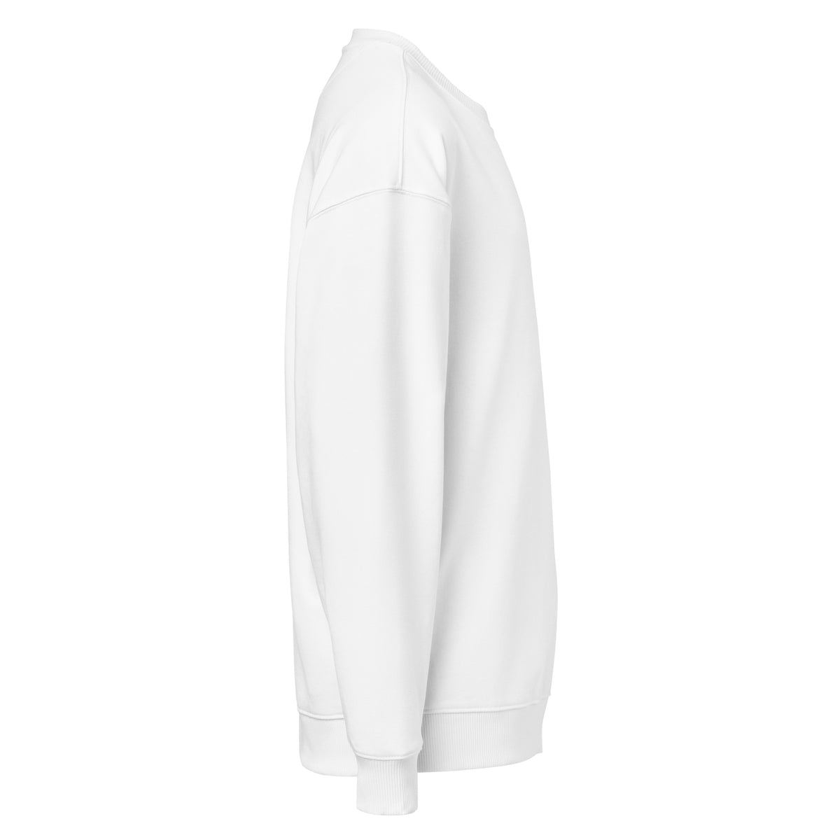 Unisex Organic Oversized Sweatshirt | A • Edition